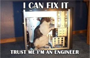 Cat Engineer
